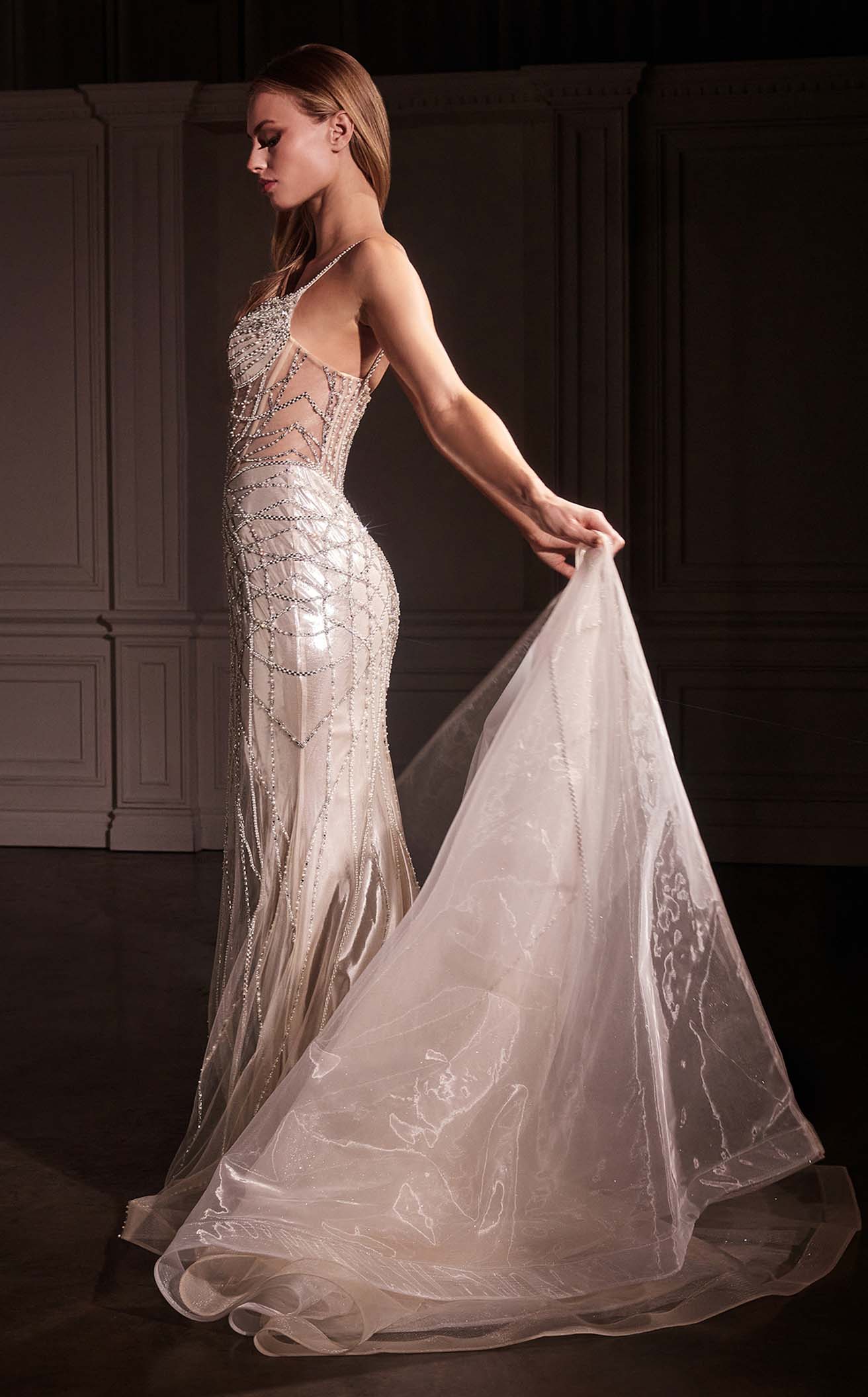 Ladivine CD763 Dress